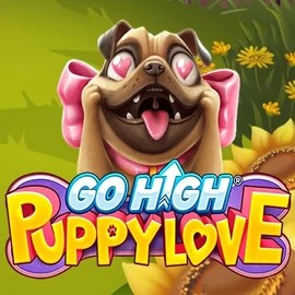 Go High Puppy Love slot icon by RubyPlay, available at Fridayroll Casino